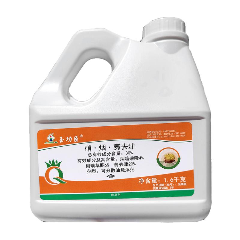 玉米苗后专用药除草剂长青牛筋草