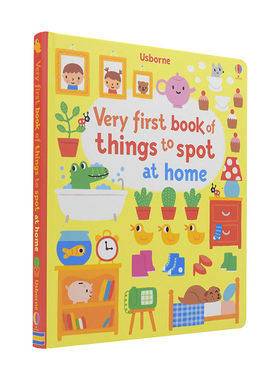 英文原版 Very first book of things to spot at home 趣味单词找找乐 家 英文版 进口英语原版书籍