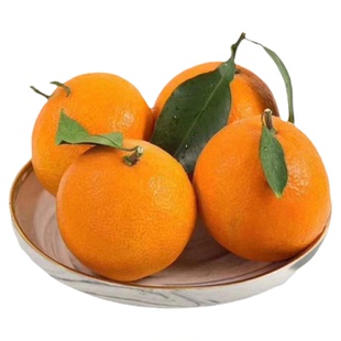 【官方授权】正宗象山红美人柑橘爱媛28号果冻橙新鲜采摘桔子礼盒