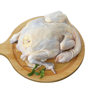 酥方斋九华山散养小公鸡整只鸡仔鸡童子鸡冷冻走地跑山鸡现杀新鲜