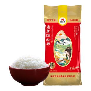 【鸿运泰】粤尊油粘米大米 新米长粒香油粘米软糯清香当季新鲜米