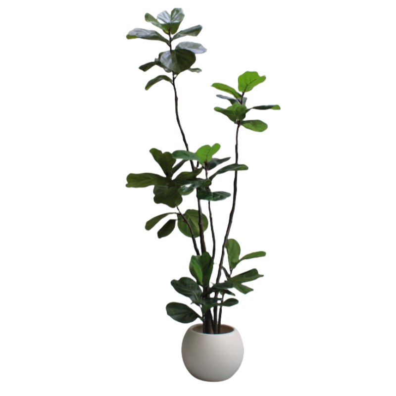 仿真绿植物橡皮琴叶榕假花树客厅
