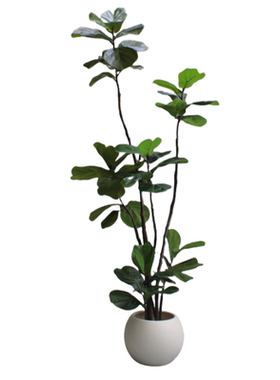 仿真绿植物橡皮琴叶榕假花树客厅