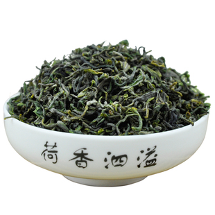 日照绿茶新茶浓香型山东炒青绿茶茶叶板栗香耐泡500g散装袋装绿茶
