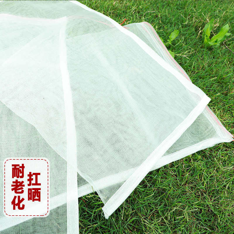 尼龙网袋无花果水果网套袋透气防虫防鸟蔬菜丝瓜葡萄保护袋浸种袋
