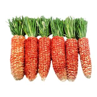 赫尔达 烘干提摩西草玉米磨牙棒 兔子荷兰猪龙猫豚鼠玩具 3根/包