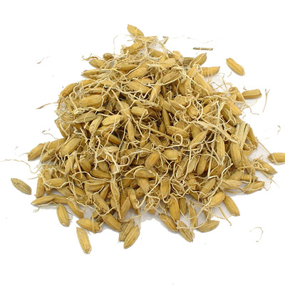 【经方集】稻芽中药材出芽率高打生稻芽粉(南方谷芽)250g/500克