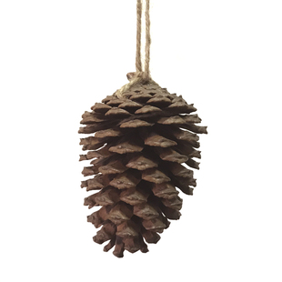 大中小型鹦鹉啃咬玩具天然大松塔松果金葵灰折中虎皮玄凤牡丹用品