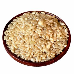 粳米特级正宗优质胚芽米中旗津液舰熬米油煮粥大米店精选十月普通