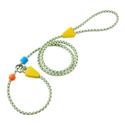 CHASUP中小型犬P绳防爆冲牵引绳