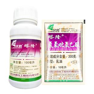 绿霸塔隆氯氟吡氧乙酸一年生阔叶草猪殃殃水花生空心莲子草除草剂