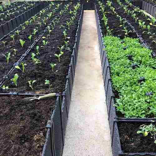 园艺花土营养土种菜土园艺肉土土育苗养花基质多大包种植花肥家庭