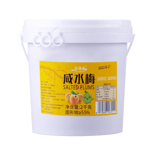 潮汕特产咸水梅腌制咸酸梅4斤瓶装青梅子咸话梅酸湿梅青竹梅包邮