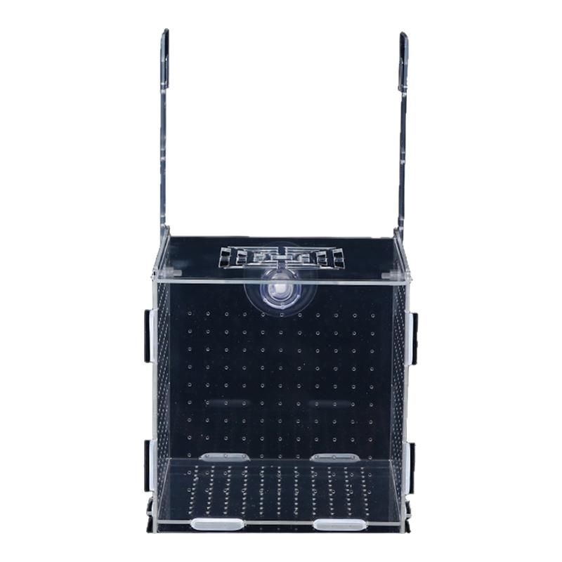 鱼缸分养盒隔离亚克力孔雀繁殖盒