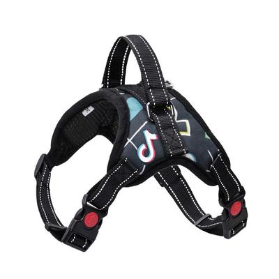 全尺寸狗狗胸背带项圈可调节松紧
