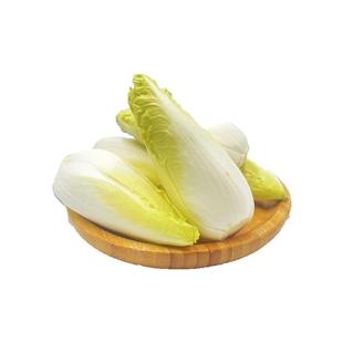 金玉兰菜500g 金玉兰苦白菜欧洲菊苣比利时芽球菊苣