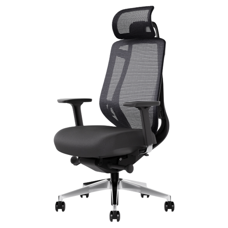 GT谷腾BIRCH菁英版人体工学椅头枕脚踏顶腰久坐不累透气电脑椅