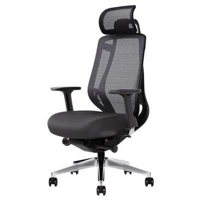 GT谷腾BIRCH菁英版人体工学椅头枕脚踏顶腰久坐不累透气电脑椅