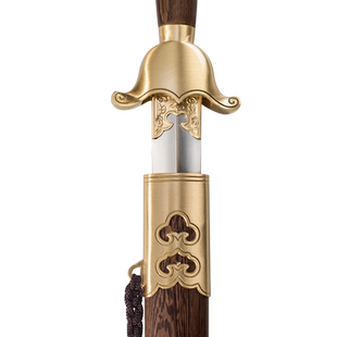 龙泉杨式不锈钢太极剑女士晨练半硬剑武术剑男士表演剑古装未开刃