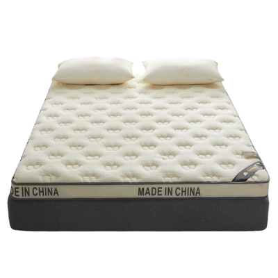 加厚乳胶记忆棉10cm榻榻米床垫