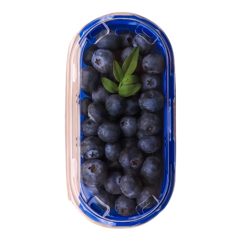 一次性蓝莓盒子200g树莓打包盒