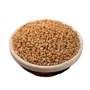 浮小麦中药材正品多一动就出汗爱出虚汗出汗新货500g官方旗舰店