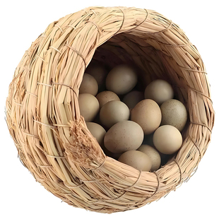 芦丁鸡受精蛋可孵德系黑白礼服白色家用幼鸡蛋迷你孵化宠物鸡种蛋