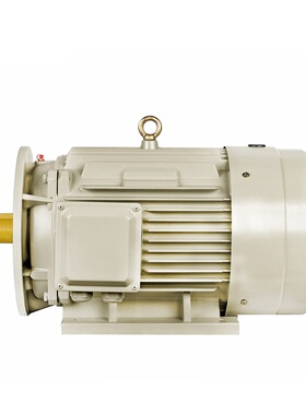 机械设备YE3-225M-4极45KW三相异步电动机380V交流马达立式国标