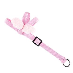 鹦鹉牵引绳超轻外出放飞背带虎皮小鸟放飞绳子不伤脚遛鸟神器背带