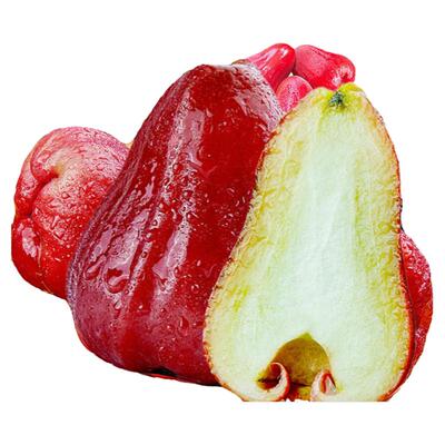 【顺丰包邮】海南三亚黑金刚莲雾