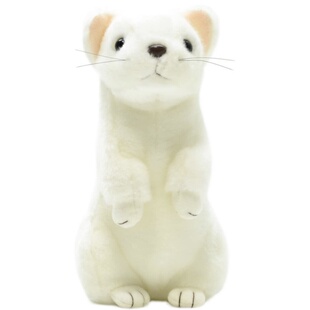 日本aqua正版仿真动物可爱白鼬公仔玩偶娃娃毛绒玩具生日礼品