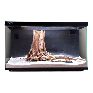 鱼缸造景生命之树骨架成品水草树莫斯树生态造景一体式装饰小摆件