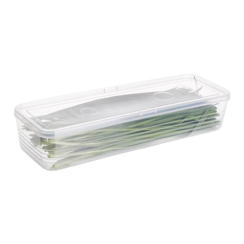 保鲜盒食品级大葱香菜芫荽整根姜蒜挂面条鸡蛋收纳整理盒冰箱专用