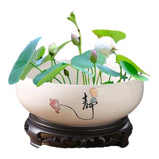 碗莲专用盆缸铜钱草睡莲一叶莲水仙花盆金钱草水培植物盆无孔陶瓷