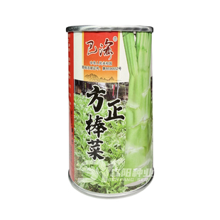 巴渝方正棒菜种子莴笋笋子芥菜头籽大田用种芥菜绿色蔬菜茎用芥菜
