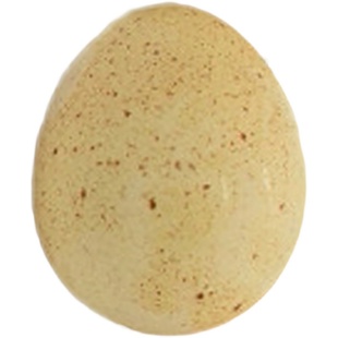 精品观赏宠物成年鹧鸪呱呱鸡嘎啦鸡咕咕鸡活体可下蛋顺丰包活到家