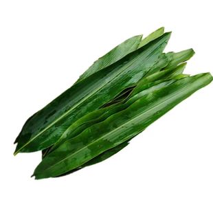 包邮新鲜10张野生叶儿粑叶做四川宜宾特产猪儿粑鸭儿耙叶子良姜叶