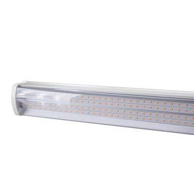 十田多肉补光灯植物生长灯全光谱