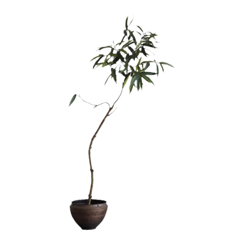 形上仿真绿植复古花盆金属色陶瓷