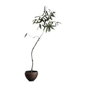 形上仿真绿植复古花盆金属色陶瓷