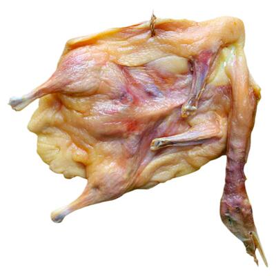 买二送一腊鸭子整只湖北风干鸭