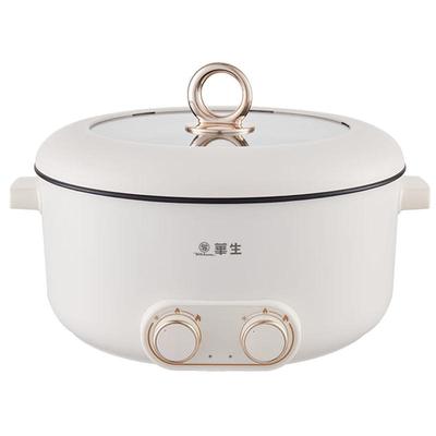 华生旋钮式5L容量鸳鸯电火锅