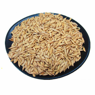 黑龙江25年新五常稻花香二号水稻带壳大米家用稻谷农家粳稻子500g