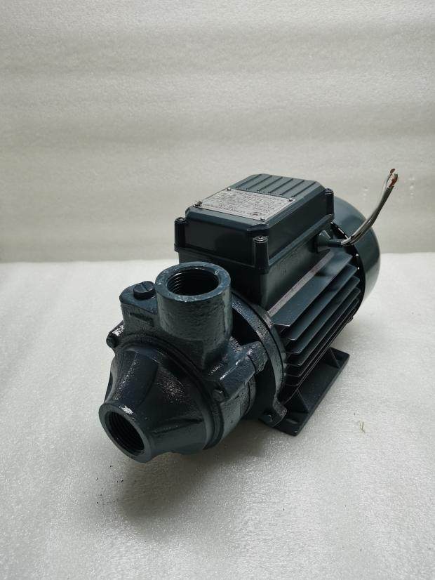 品工业电动漩涡整烫锅炉蒸汽发生器专用增压冷热静音水泵750瓦d新