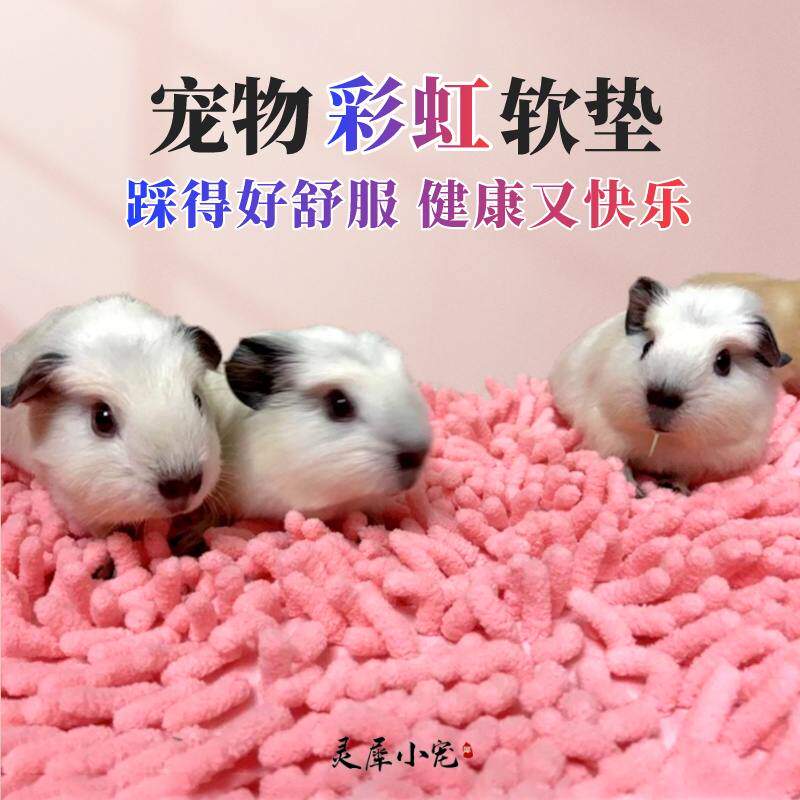 荷兰猪垫子雪尼尔毛绒防滑豚鼠窝脚垫兔子取暖龙猫造景宠物睡觉垫