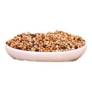 鹦鹉粮食五色黍子虎皮玄凤营养主粮混合营养粮食鸟食鹦鹉营养饲料