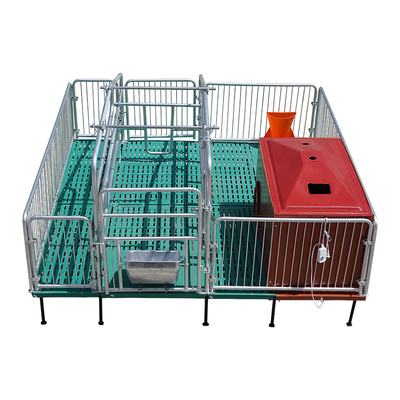 单体产床猪养殖设备科学养猪