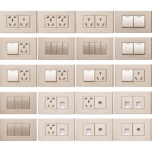 公牛118型五孔十孔一二开电脑电话电视开关插座香槟金色 G04两位
