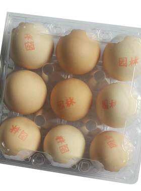 加厚一次性中号打包10枚鸡蛋托