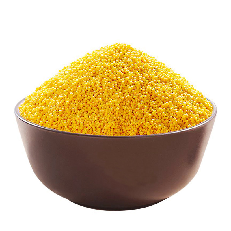 正宗山东沂蒙山黄小米香糯粘稠